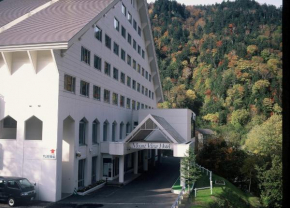 Hotels in Kamikawa